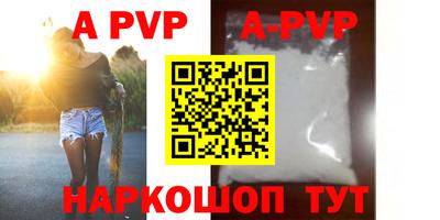 гашик Будённовск