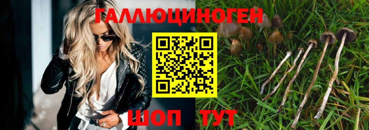 Псилоцибиновые грибы прущие грибы  закладки  Топки  Вход с VPN 