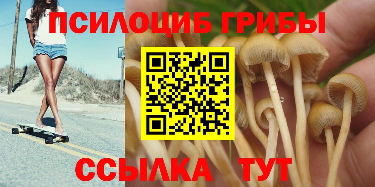Галлюциногенные грибы MAGIC MUSHROOMS Топки